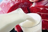 Місцеві виробники на 90 відсотків забезпечують мешканців рівненщини м’ясом та молоком