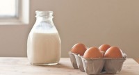 Агропідприємства збільшили виробництво яєць та молока