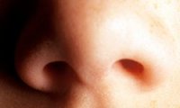 Вище ніс: як дізнатися про стан організму по своєму носу