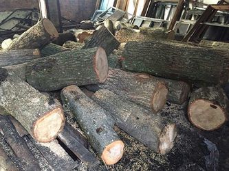 Викрадені колоди дуба знайшли у Костопільському районі