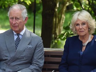 Дружина принца Чарльза вимагає розлучення