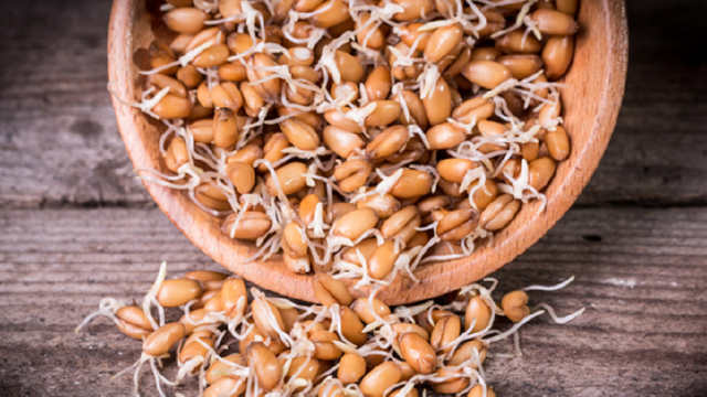 Чи корисні насправді пророщені зерна?
