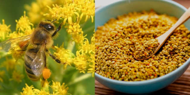 Фахівці розповіли про важливі властивості бджолиного пилку