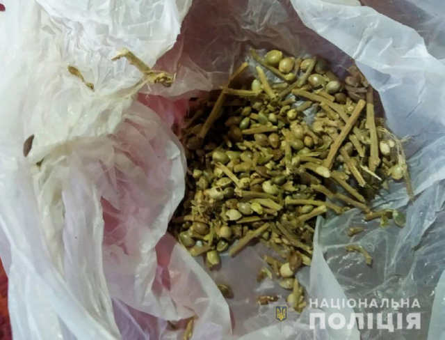 Марихуану та пристрої для куріння виявили у жителя Рівненського району