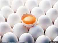 10 фактів, які ви не знали про яйця