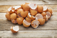 ТОП 7 способів з користю використати яєчну шкаралупу