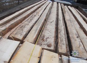 На Рокитнівщині вилучили майже 25 кубометрів незаконної деревини