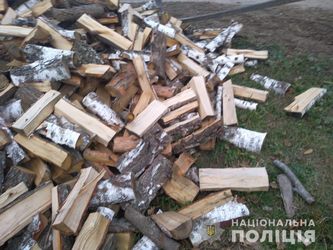 На Березнівщині односелець викрадав дрова у літньої жінки