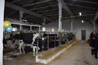 У Рівненській області запрацювала десята сімейна молочна ферма