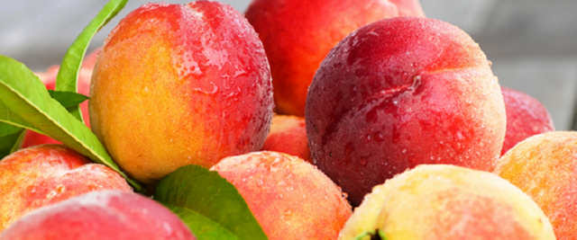 Ці кілька властивостей персиків доведені наукою