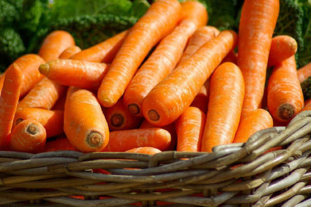Як знезаразити моркву під час зберігання за допомогою золи або крейди