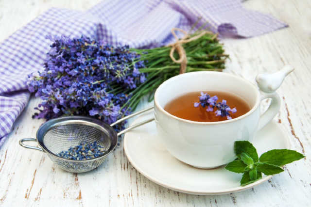 Від астми та бронхіту – чай з лаванди