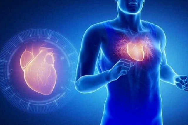 Як продовжити собі життя Зміцнюємо серцевий м’яз без тренажерів