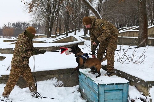Служба й довіра: як формується тандем кінолог–собака у рівненському підрозділі Нацгвардії